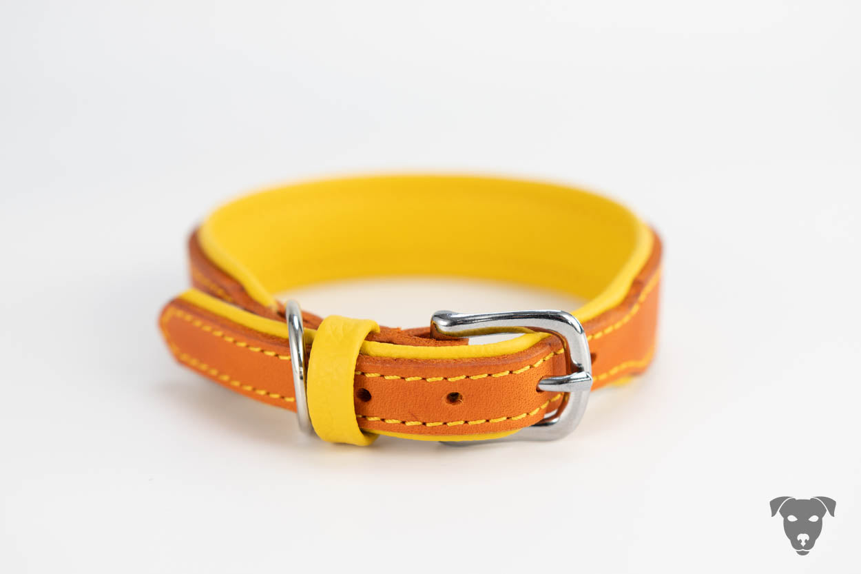 Hundehalsband feinst bestickt, handgefertigte Hundehalsbänder aus Meisterhand. Fettleder Halsband, Riemen Halsband oder klassisches Nappa Halsband, mit Lasergravur, Heiß Geprägt oder feinst bestickt, handmade-4-dogs