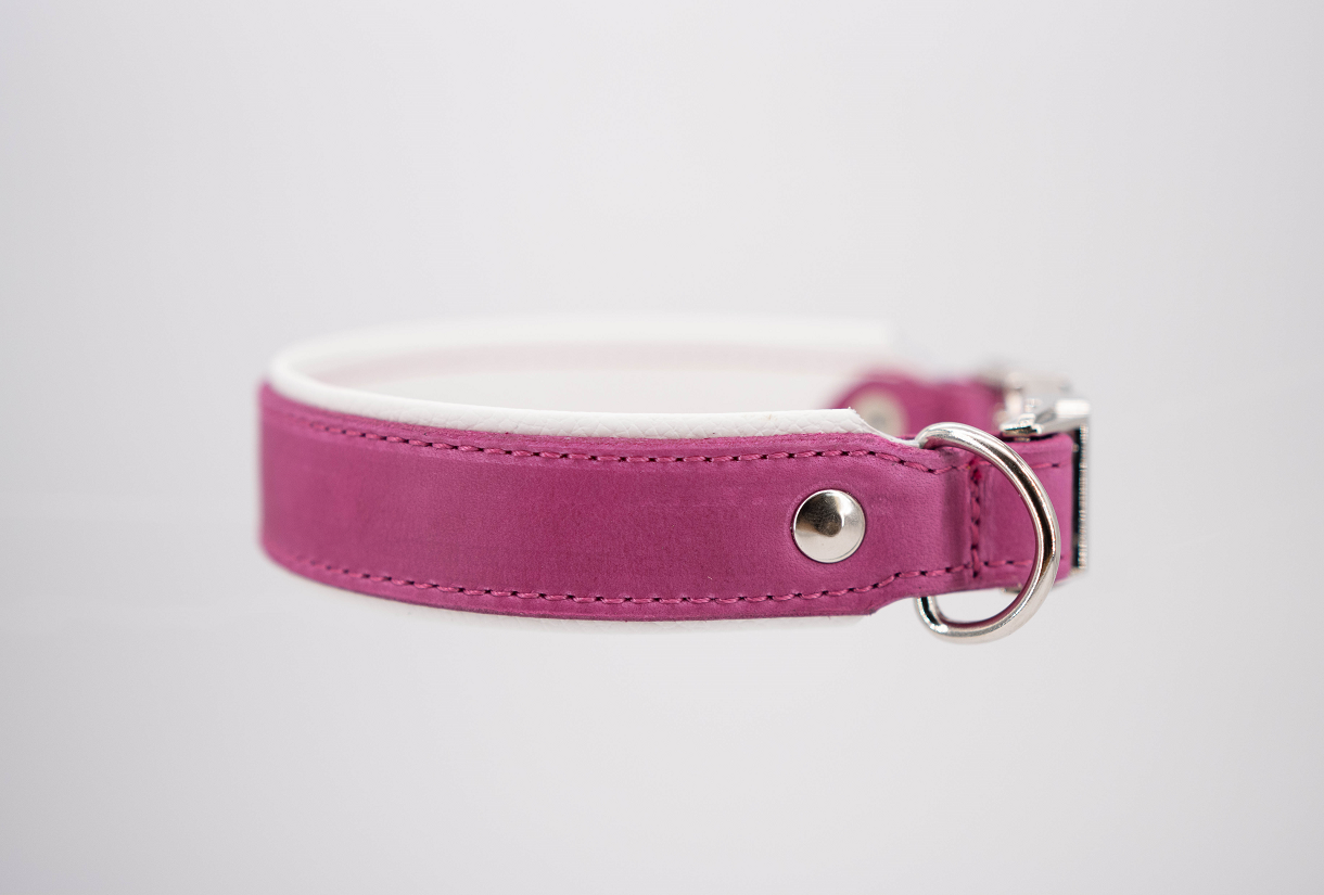 Hundehalsband feinst bestickt, handgefertigte Hundehalsbänder aus Meisterhand. Fettleder Halsband, Riemen Halsband oder klassisches Nappa Halsband, mit Lasergravur, Heiß Geprägt oder feinst bestickt, handmade-4-dogs