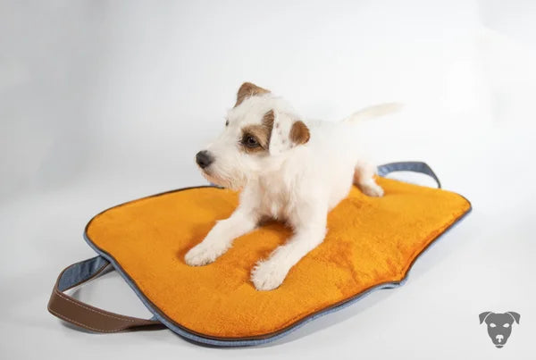 hunde-reisebett-in-Jeansoptik ,die-griffe-sind-aus-veganem-Leder-gefertigt, die-Liegefläche-des-Hunde-Reisebettes-ist-eine-dicke-kuscheldecke-in-orange, das-hunde-reisebett-ist-handgefertigt-von-handmade-4-dogs, auf-dem-hunde-reisebett-welches-handgefertigt-ist-liegt-ein-parson-russell-terrier.sie-heißt-bourbon-vanille-of-green-spirits