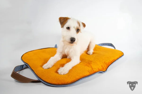 hunde-reisebett-in-Jeansoptik ,die-griffe-sind-aus-veganem-Leder-gefertigt, die-Liegefläche-des-Hunde-Reisebettes-ist-eine-dicke-kuscheldecke-in-orange, das-hunde-reisebett-ist-handgefertigt-von-handmade-4-dogs, auf-dem-hunde-reisebett-welches-handgefertigt-ist-liegt-ein-parson-russell-terrier.sie-heißt-bourbon-vanille-of-green-spirits