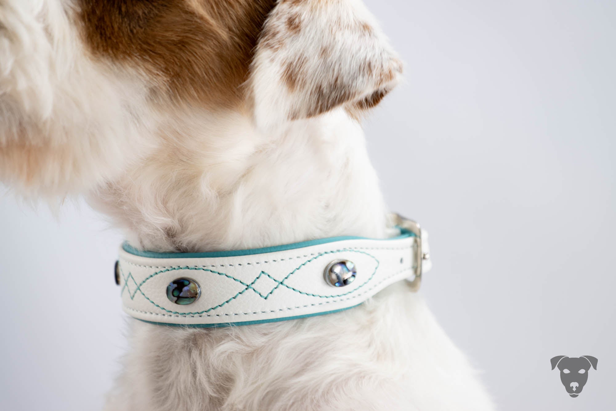 Hundehalsband feinst bestickt, handgefertigte Hundehalsbänder aus Meisterhand. Fettleder Halsband, Riemen Halsband oder klassisches Nappa Halsband, mit Lasergravur, Heiß Geprägt oder feinst bestickt, handmade-4-dogs