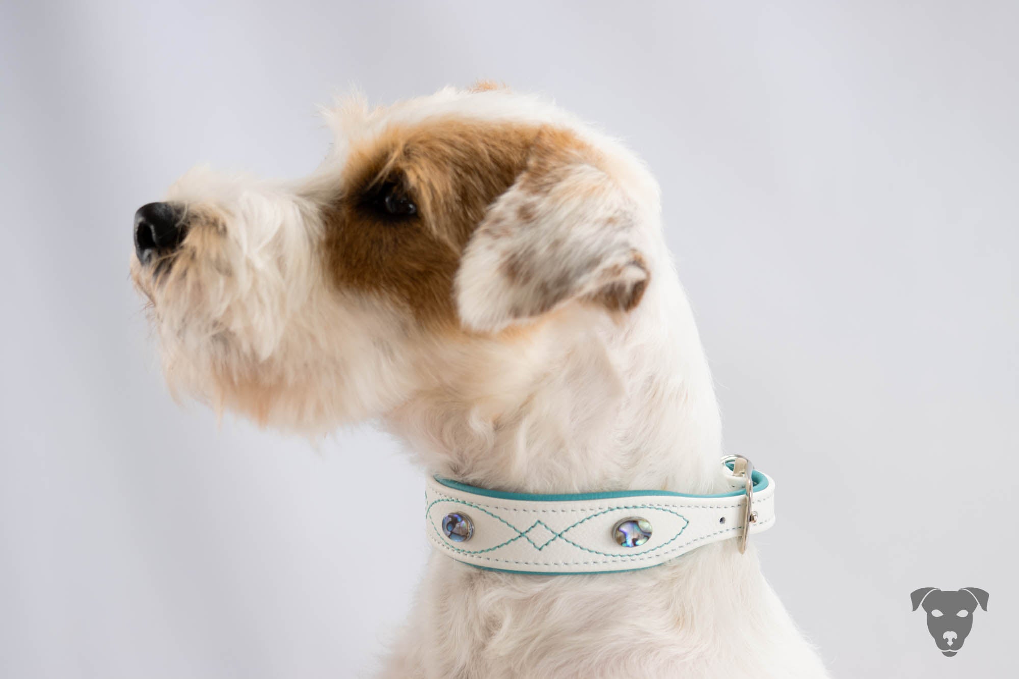 Hundehalsband feinst bestickt, handgefertigte Hundehalsbänder aus Meisterhand. Fettleder Halsband, Riemen Halsband oder klassisches Nappa Halsband, mit Lasergravur, Heiß Geprägt oder feinst bestickt, handmade-4-dogs