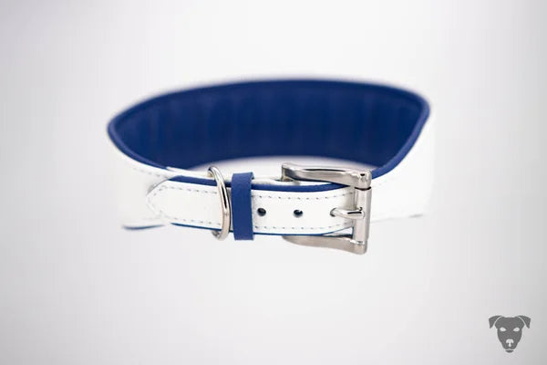 Hundehalsband feinst bestickt, handgefertigte Hundehalsbänder aus Meisterhand. Fettleder Halsband, Riemen Halsband oder klassisches Nappa Halsband, mit Lasergravur, Heiß Geprägt oder feinst bestickt, handmade-4-dogs