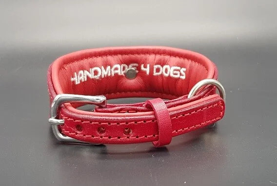 Riemen Halsband, Hunde Halsband handgefertigt, Halsband Konfigurator, DIY Hundehalsband, Riemen Halsband  handmade-4-dogs, Lasergravierter Steckverschluss, handgefertigtes Hundehalsband mit Edelstein