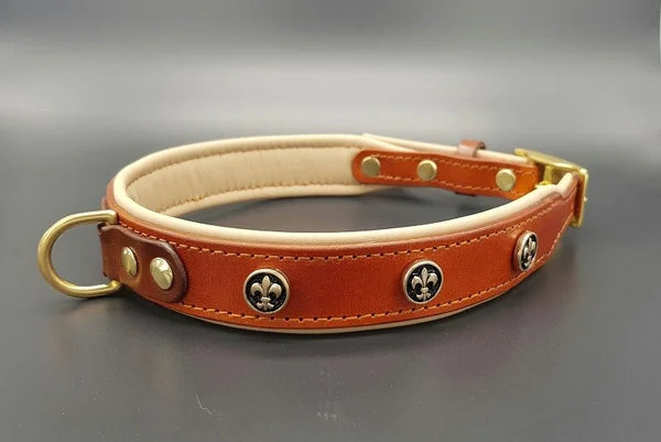 Riemen Halsband, Hunde Halsband handgefertigt, Halsband Konfigurator, DIY Hundehalsband, Riemen Halsband  handmade-4-dogs, Lasergravierter Steckverschluss, handgefertigtes Hundehalsband mit Edelstein