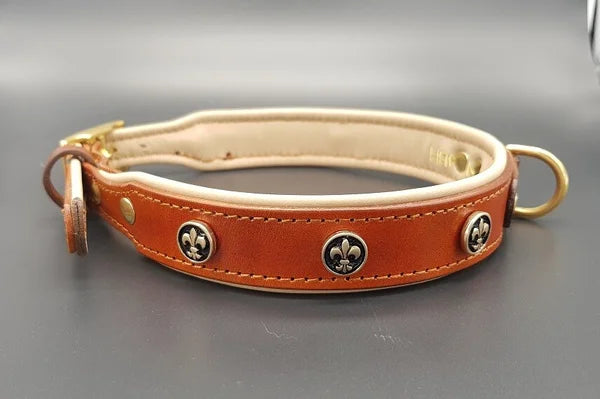 Riemen Halsband, Hunde Halsband handgefertigt, Halsband Konfigurator, DIY Hundehalsband, Riemen Halsband  handmade-4-dogs, Lasergravierter Steckverschluss, handgefertigtes Hundehalsband mit Edelstein