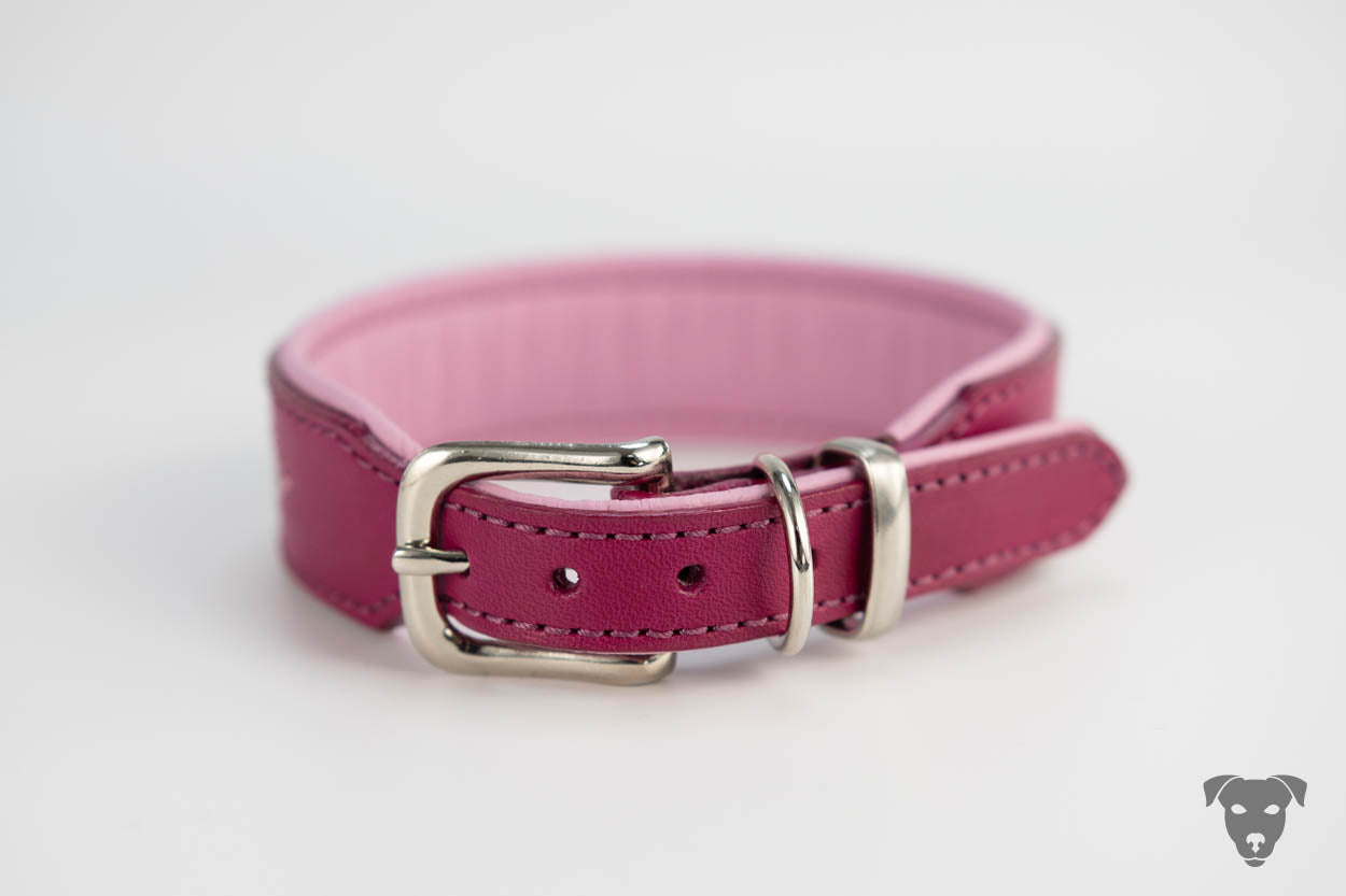 Riemen Halsband - magenta Gunslinger