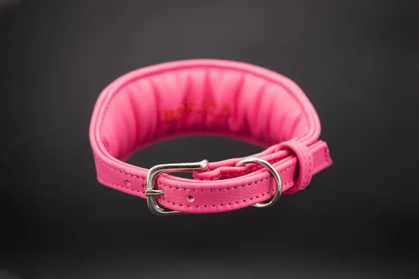 Hundehalsband feinst bestickt, handgefertigte Hundehalsbänder aus Meisterhand. Fettleder Halsband, Riemen Halsband oder klassisches Nappa Halsband, mit Lasergravur, Heiß Geprägt oder feinst bestickt, handmade-4-dogs