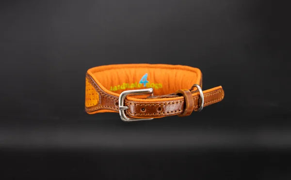 Riemen Halsband, Hunde Halsband handgefertigt, Halsband Konfigurator, DIY Hundehalsband, Riemen Halsband  handmade-4-dogs, Lasergravierter Steckverschluss, handgefertigtes Hundehalsband mit Edelstein