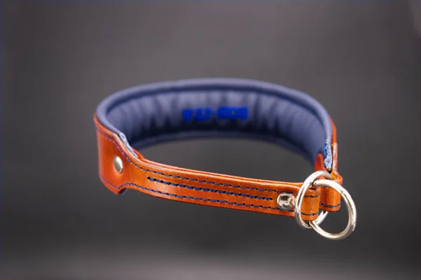 Riemen Halsband, Hunde Halsband handgefertigt, Halsband Konfigurator, DIY Hundehalsband, Riemen Halsband  handmade-4-dogs, Lasergravierter Steckverschluss